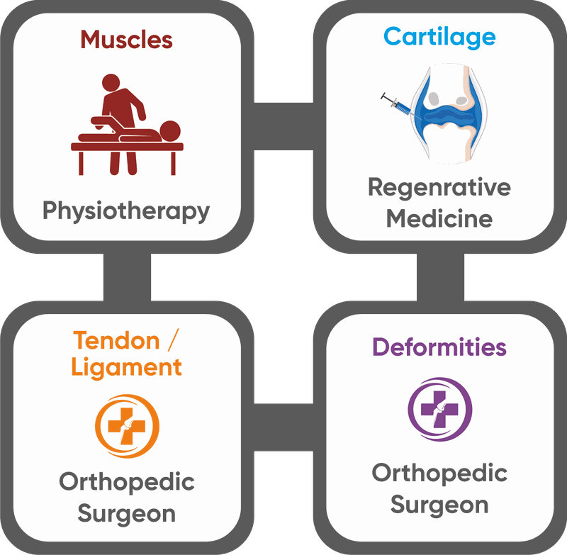 Muscles: physiotherapy. Cartilage: regenerative medicine. Tendon and ligament, and deformities: orthopedic surgeon.